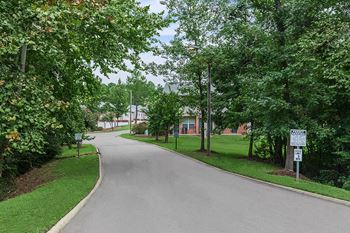 Lush landscaping